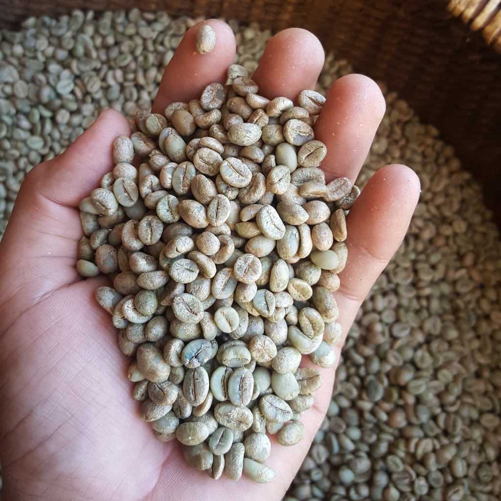 2 gói 500gr (1kg) Cà phê robusta rang xay, cà phê nguyên chất - 1000gr - Duta's Coffee - duta1000g | BigBuy360 - bigbuy360.vn