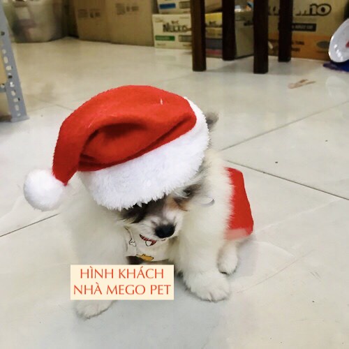 PHỤ KIỆN MŨ NÓN BỜM NOEL CHO THÚ CƯNG (Chọn mẫu)