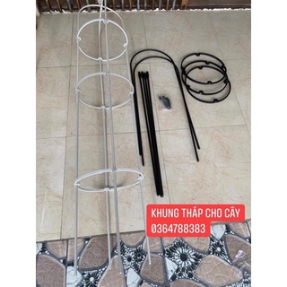 Khung tháp trụ cho hoa hồng leo
