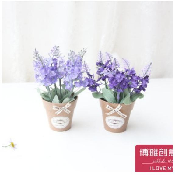 Chậu hoa mini hoa lavender nhỏ nhắn