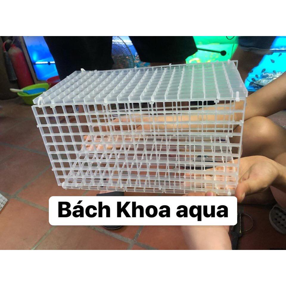 Tấm nhựa 30x30cm