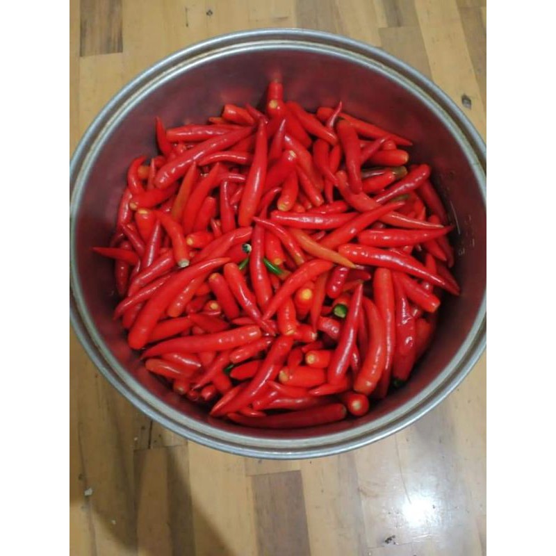 Mực rim Đà Nẵng | BigBuy360 - bigbuy360.vn