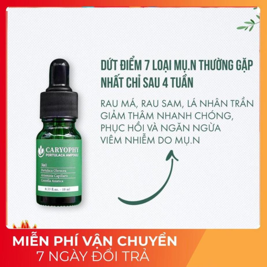 Sỉ-  Serum ngăn ngừa mụn và thâm Caryophy Chính Hãng - Serum Mụn Ngăn Ngừa Mụn Ẩn,Mụn Đầu Đen | BigBuy360 - bigbuy360.vn