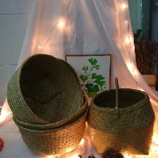Giỏ cói trồng cây