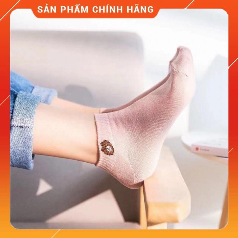 [Hàng Sẵn] TẤT HÌNH GẤU SIÊU XINH ⚡️XẢ KHO THANH LÝ ⚡️VỚ NỮ ĐẸP GIÁ RẺ PHÙ HỢP ĐI GIÀY THỂ THAO