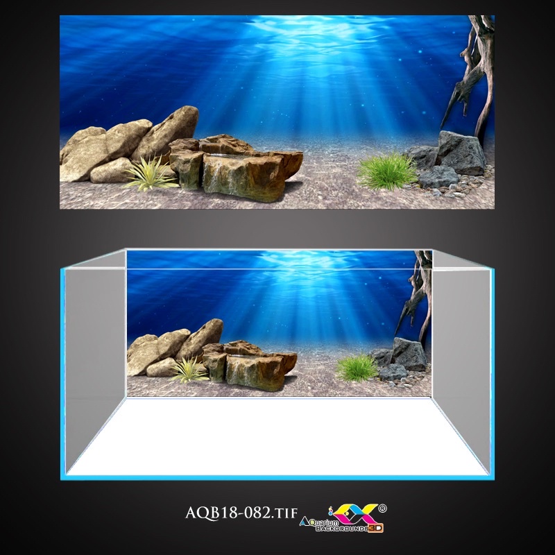 Tranh 3D - phông nền dán hồ cá, bể thuỷ sinh siêu đẹp và nét, có keo sẵn trên bề mặt, có thể in theo kích thước yêu cầu