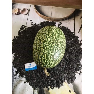 HẠT BÍ MÈO ĐEN TÂY BẮC 500GR