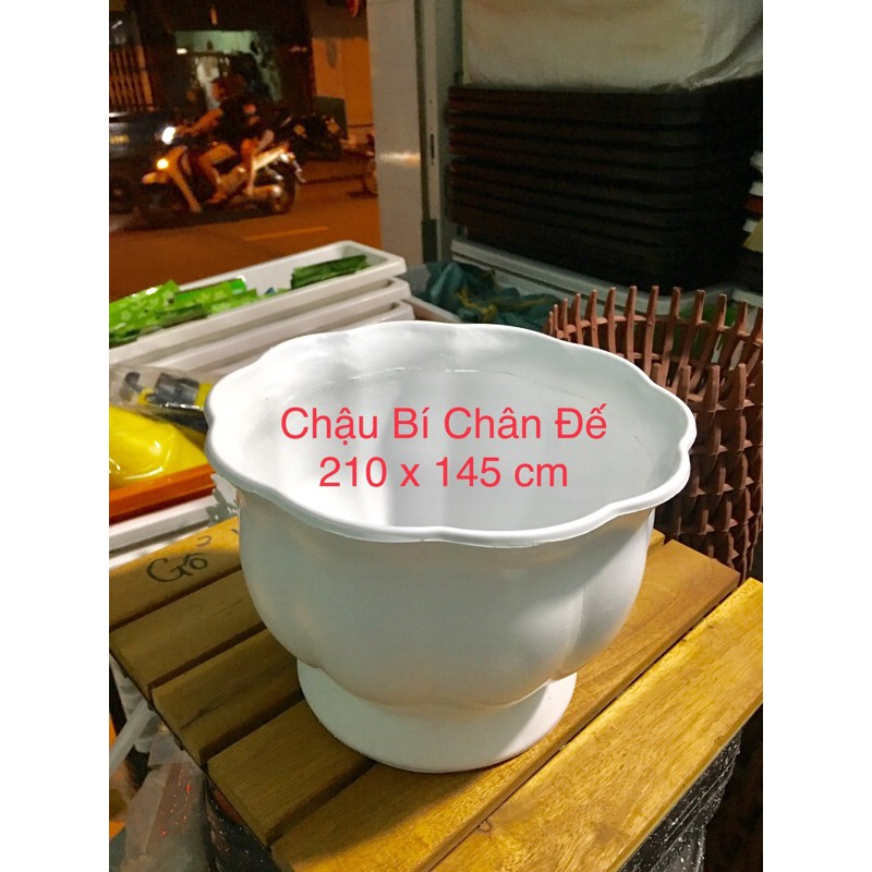 Chậu Nhựa Để Bàn, Chậu Có Chân Hình Quả Bí Trang Trí Hoa Quả, Trồng Cây Hoa Kiểng