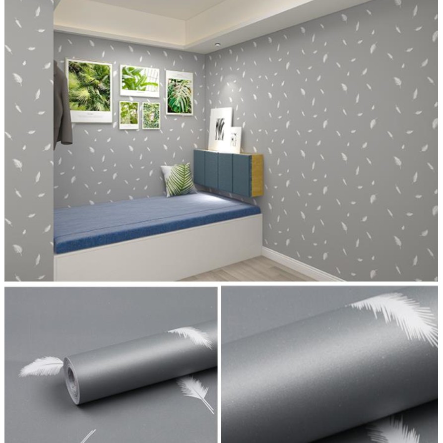 Giấy dán tường lông vũ xám rất đẹp.aqa