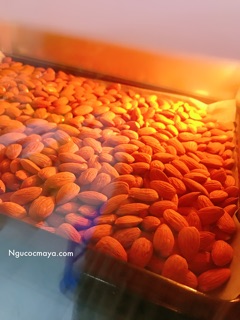 500GR Hạt Hạnh Nhân