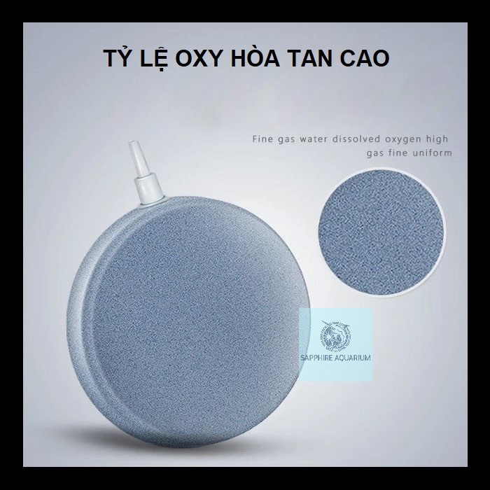 Đĩa sủi oxy