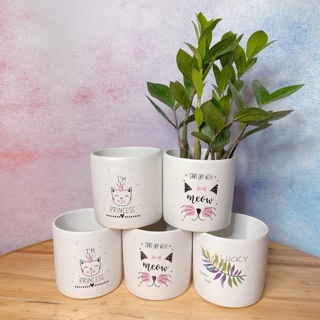 [ Sỉ Lẻ ] Chậu Sứ In Hình Dạng Ống Trụ - Chậu Trồng Cây Mini, Cây Để Bàn, Cây Phong Thủy, Cây Trang Trí Trong Nhà