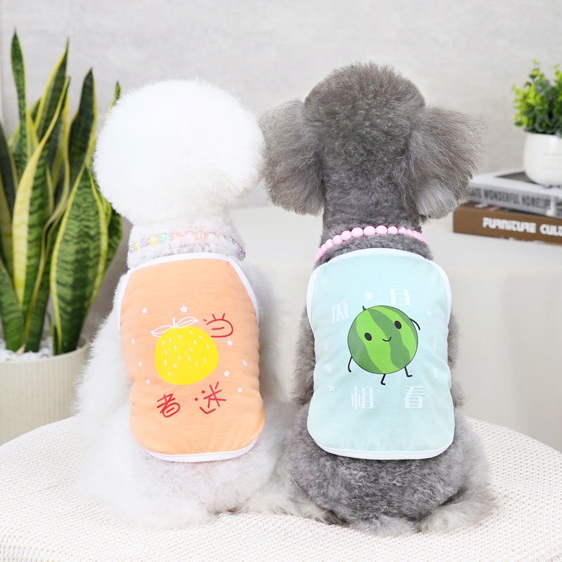 Áo Hai Dây Mỏng Năm Màu Sắc Họa Tiết Trái Cây Thời Trang Xuân Hè Cho Thú Cưng