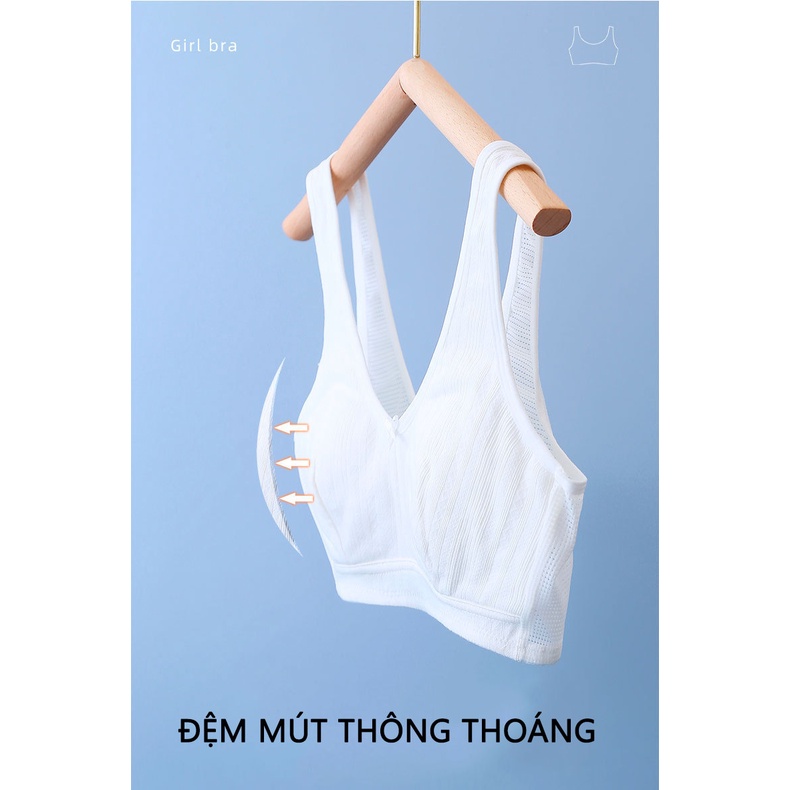 Mẫu Áo Lá Cotton Có Đệm Mút Cho Bé Gái Đi Học