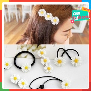 Buộc tóc , cài tóc hoa cúc Hàn Quốc