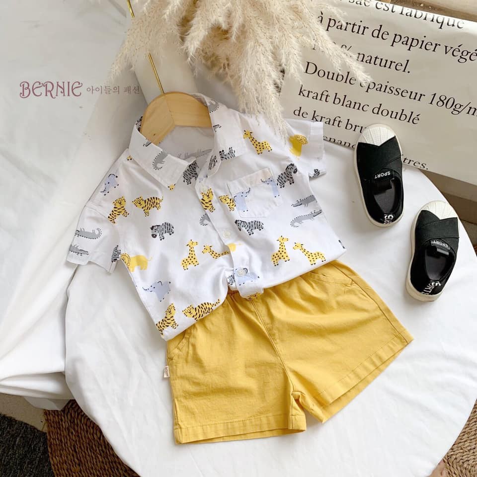 Set bộ sơ mi họa tiết quần Linen quần đũi bernie