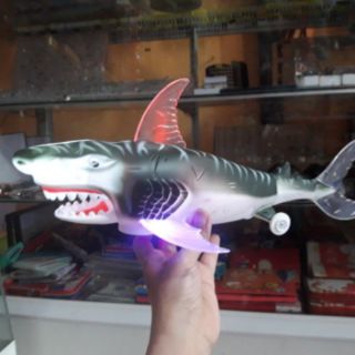Đồ chơi cá mập chạy pin có nhạc, đèn led