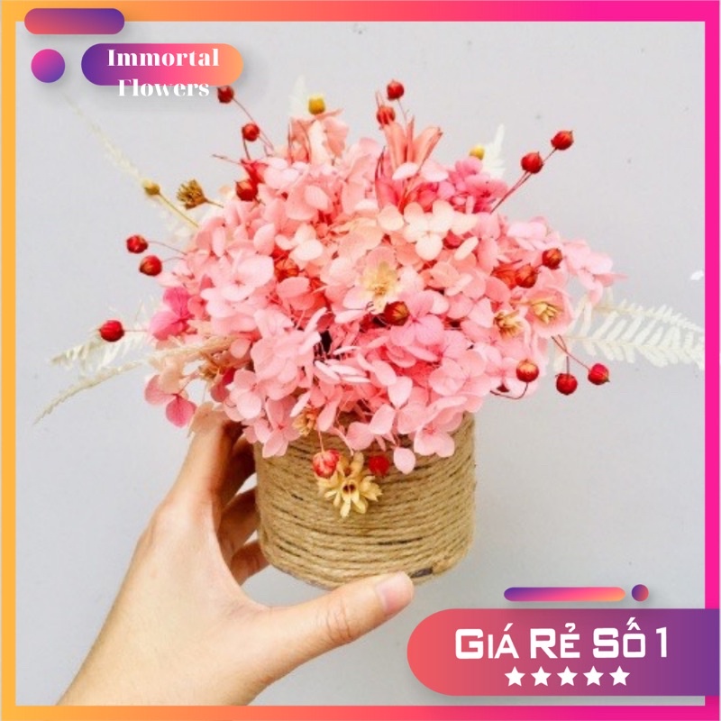 Bình hoa khô, hoa cẩm tú cầu decor trang trí nhà, decor bàn làm việc