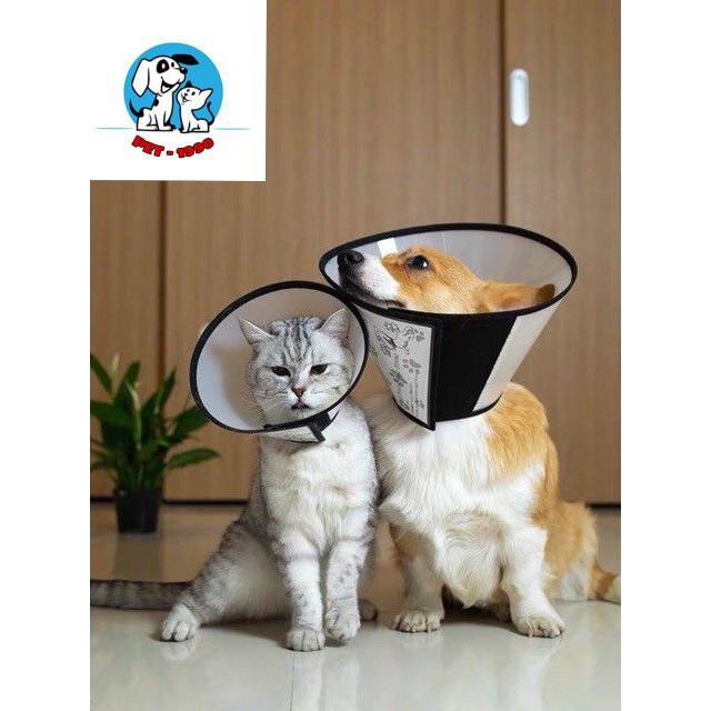 Vòng Cổ/ Loa Chống Liếm Cho Chó Mèo - Dùng Bôi Thu.ốc Cho Chó Mèo