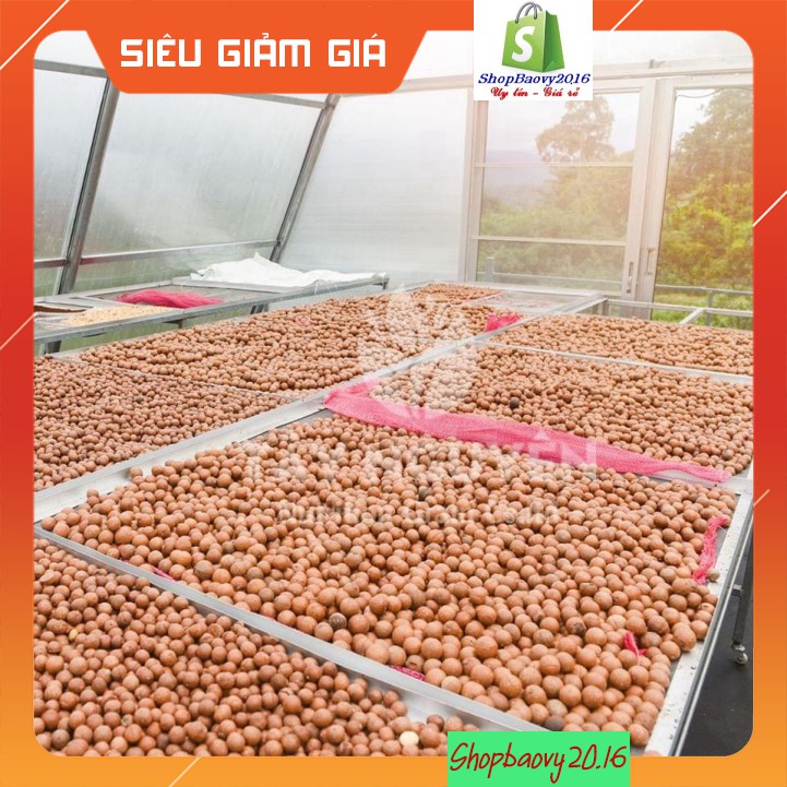 ☘SỈ NHƯ LẺ☘ Hạt Mắc ca Đắk Lắk size to (500gr)- Cam kết Hoàn tiền 100% nếu sản phẩm bị hôi dầu