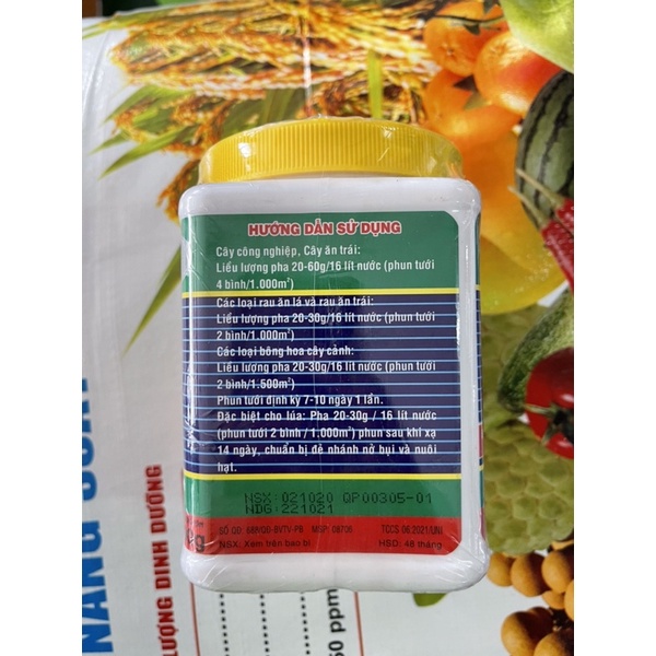 GrowMore Bloom Plus 10-60-10 + TE 0.5KG - Phân bón lá Grow More kích thích ra hoa và phát triển bộ rễ