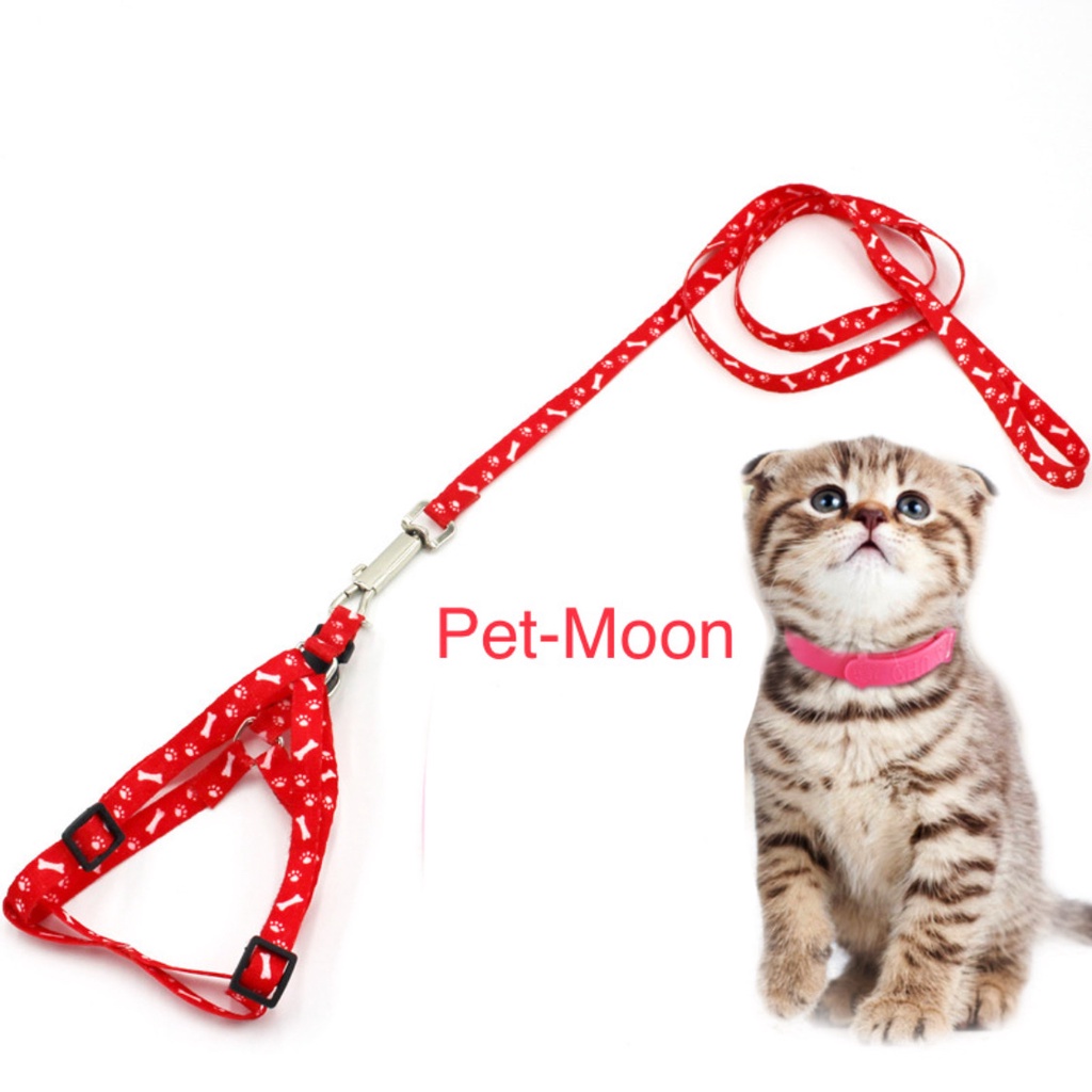 Dây dắt chó mèo kèm dây yếm đai yên ngựa -  Dây xích chó mèo bằng vải loại 1 lớp
