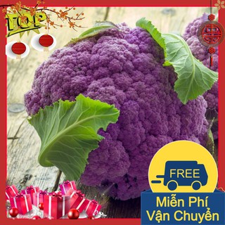 Combo 2 Gói Hạt Giống Súp Lơ Tím