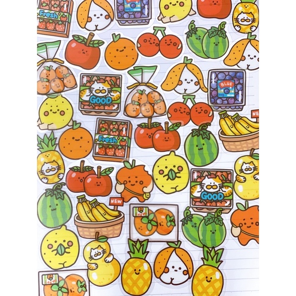 Fruits Bujo Stickers 40 miếng