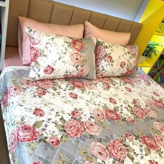 Vỏ gối cotton Khánh Chi