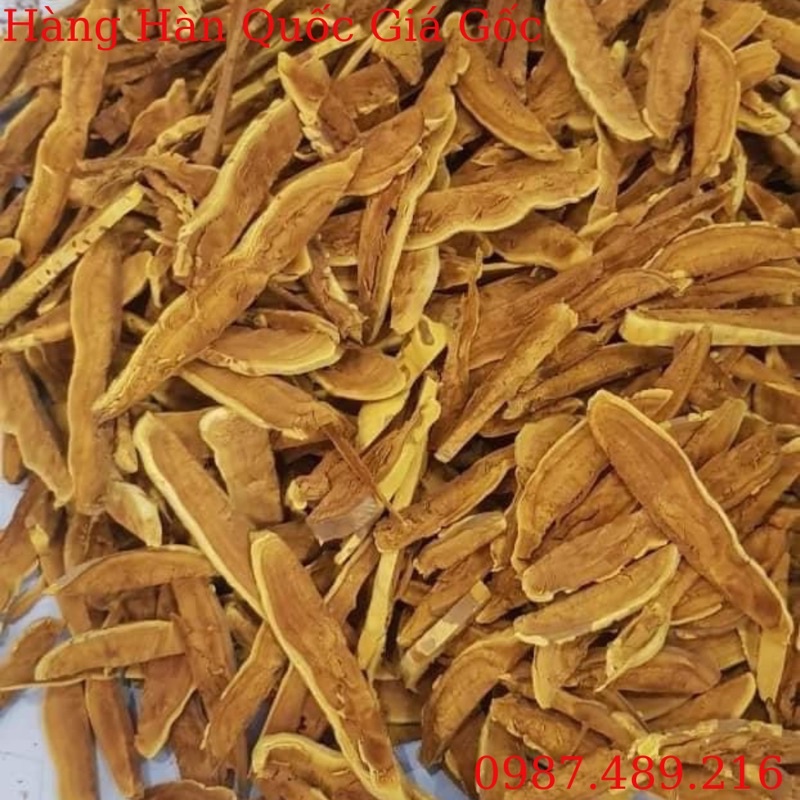 Nấm Thượng Hoàng Vàng Cao Cấp Hàn Quốc, Khay 500g