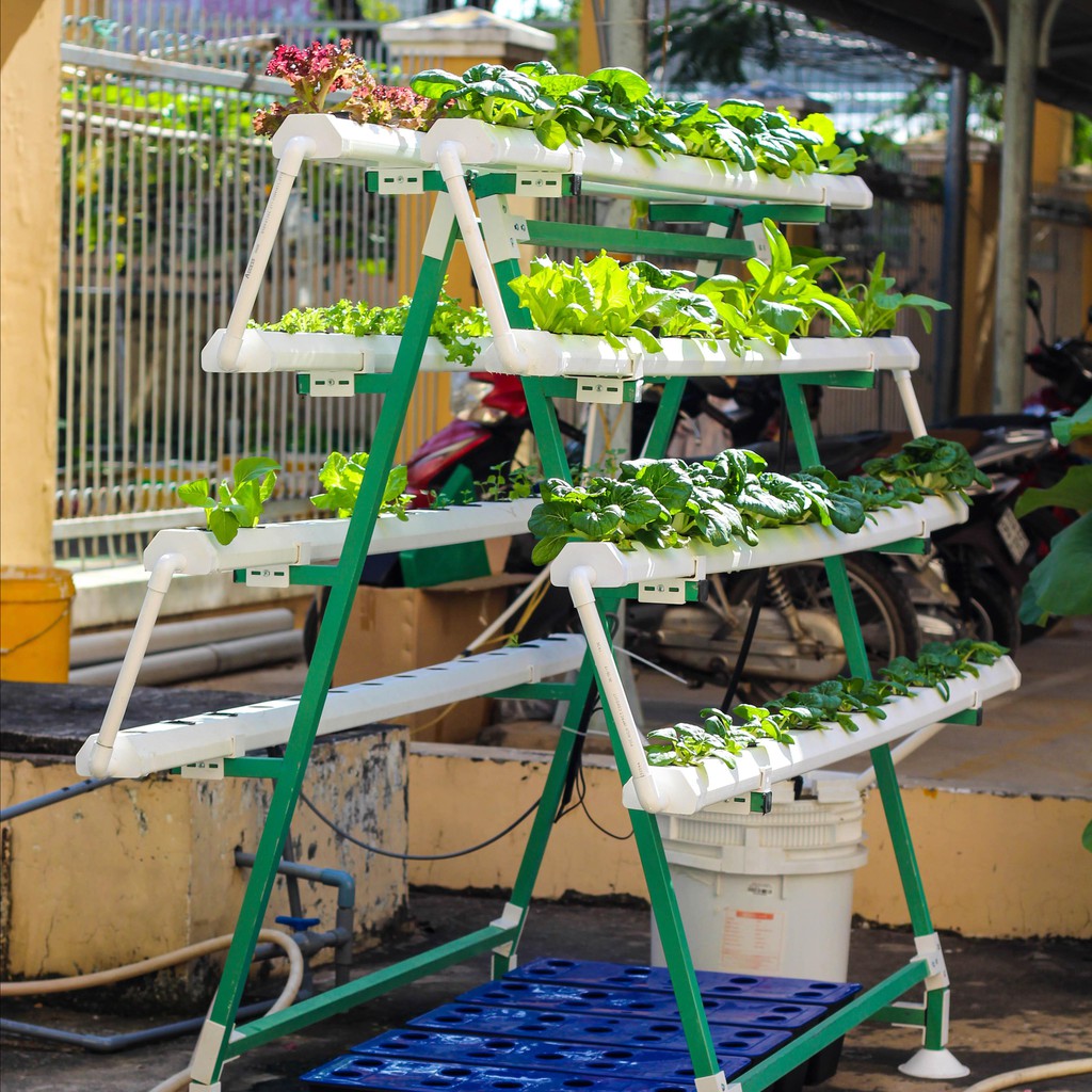 Giàn Trồng Rau Thuỷ Canh Chữ A 4 Tầng 120 lỗ rau