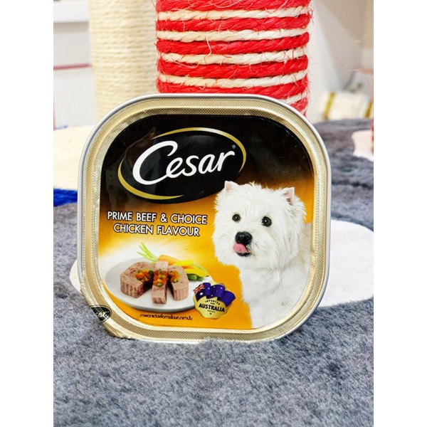 PATE CAO CẤP CESAR DÀNH CHO CHÓ 100G