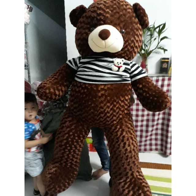 Gấu bông teddy khổ 2m siêu bự