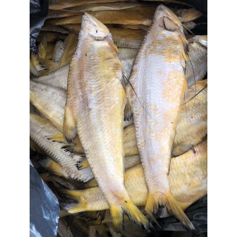 khô cá lẹp vàng