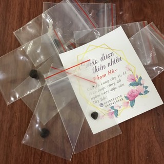 500g Hạt Dổi Rừng (Hạt Dổi Nếp Tây Bắc)