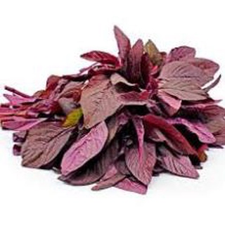 HẠT GIỐNG RAU DỀN ĐỎ GÓI 50 GRAM