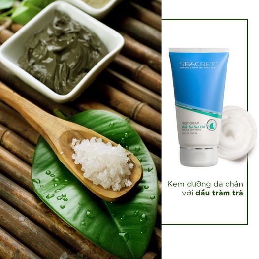 KEM DƯỠNG DA CHÂN SEACRET FOOT CREAM WITH TEA TREE OIL MỊN MÀNG MỀN MẠI LOẠI BỎ NỨT CHÂN