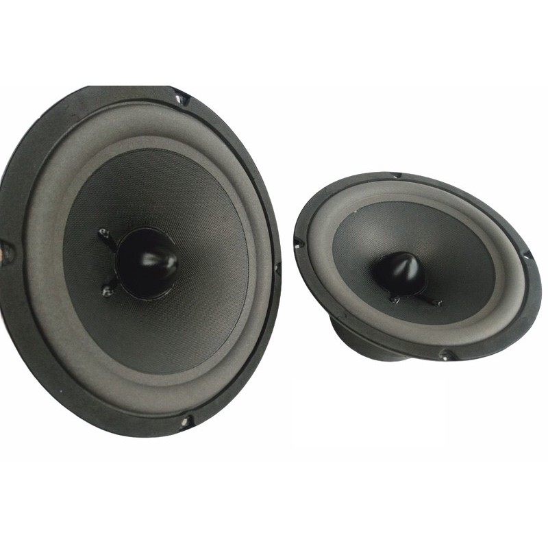 Loa bass 20 chóp nhọn từ kép 120-100 coil 38 chất âm hay-loa karaoke