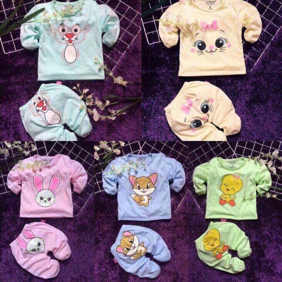 Set 5 bộ cotton 2 chiều hình thú ( Kéo sang xem ảnh thật shop tự chụp)