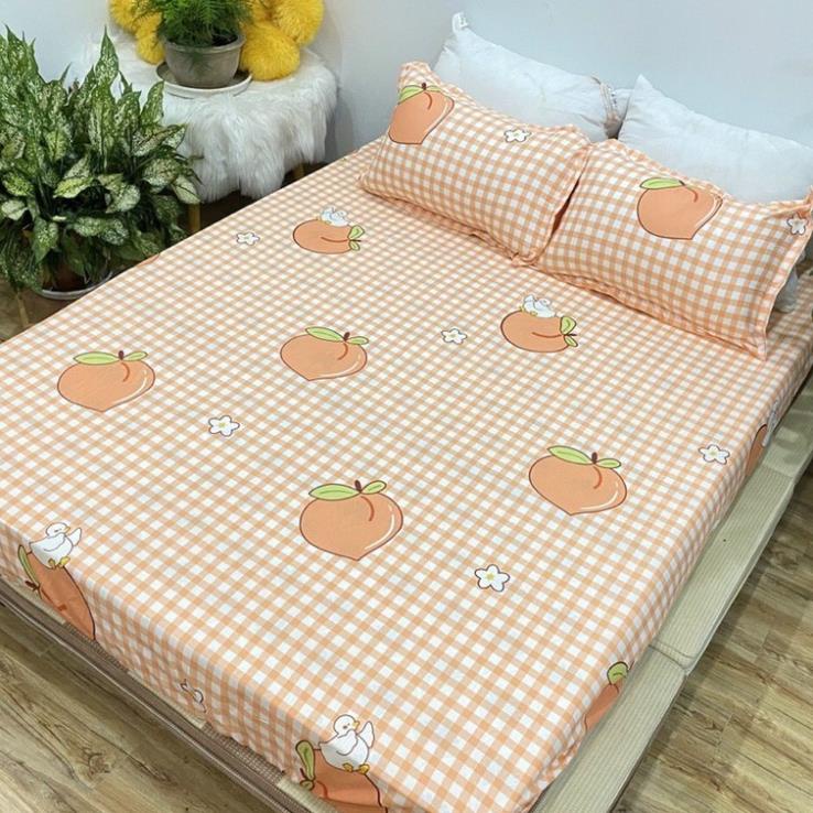 Ga trải giường cotton poly 1m6,1m8,drap giường hàn quốc,được chọn mẫu