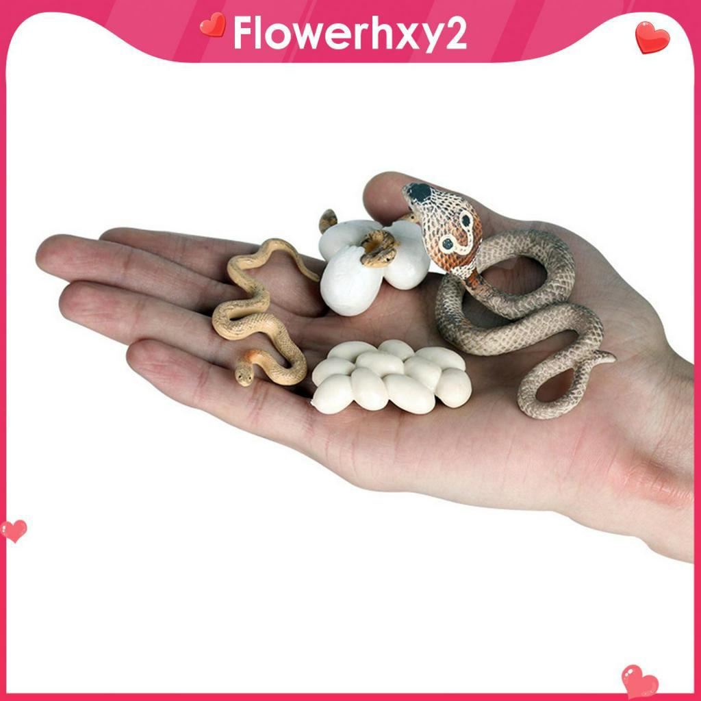 Mô Hình Rắn Hổ Mang Đồ Chơi Cho Bé