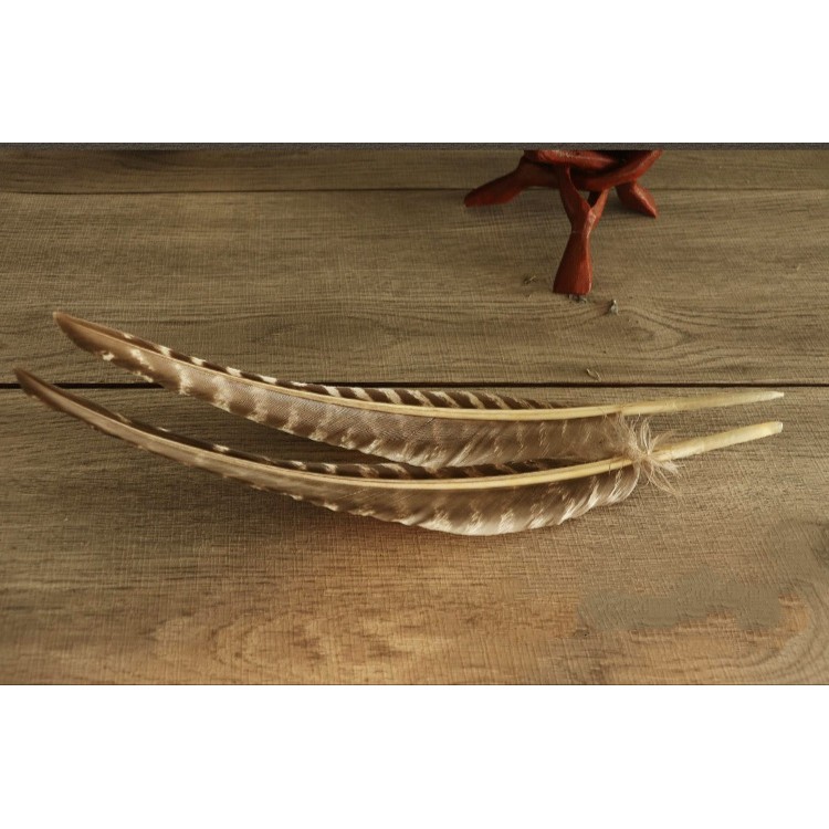 Smudging Feather/ Lông vũ quạt khói Sage/ Lông gà tây đen