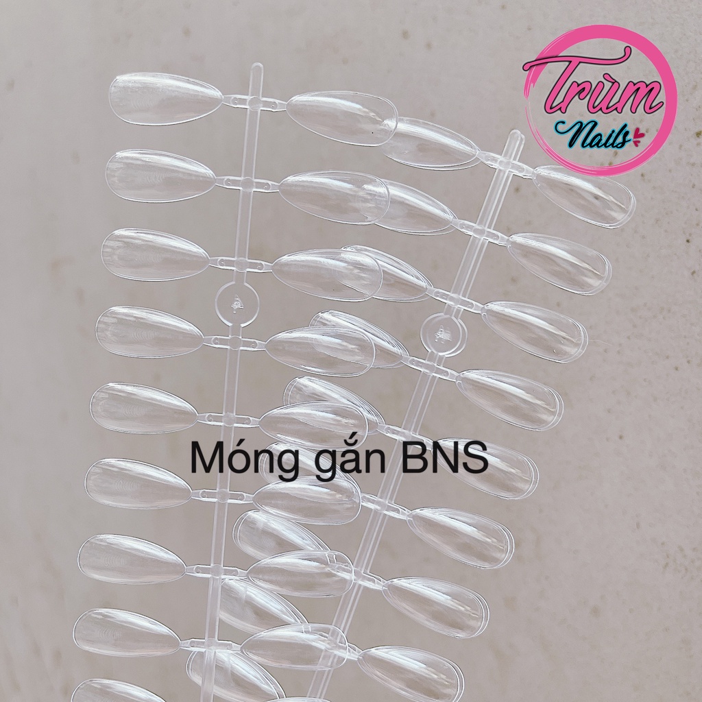 Móng mẫu gắn sổ bns