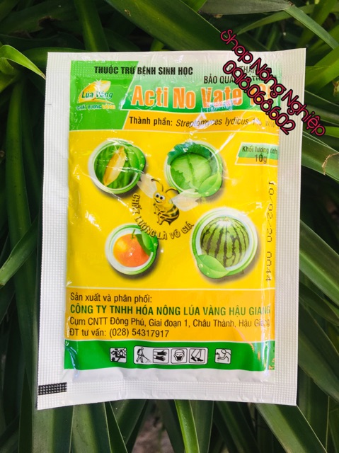 Thuốc Trừ Vi Khuẩn Sinh Học Actinovate 1SP 10gr