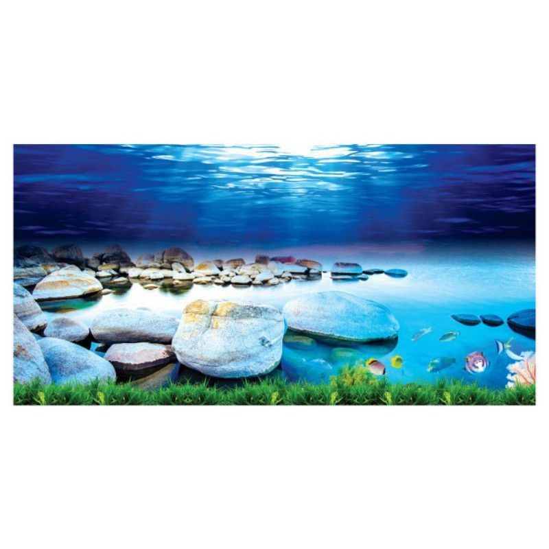 Tranh decal dán hồ cá 3D siêu đẹp_ Giá rẻ