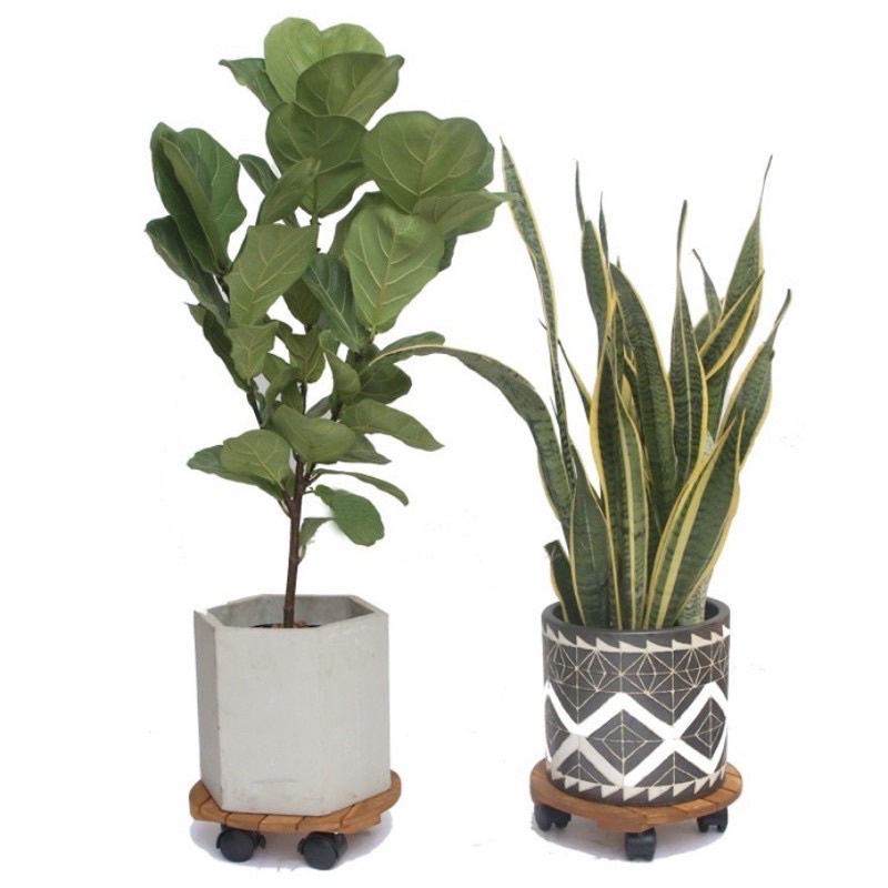 Đế gỗ để châu cây có 4 bánh xe- kệ giá đỡ chậu cây hoa cây cảnh.