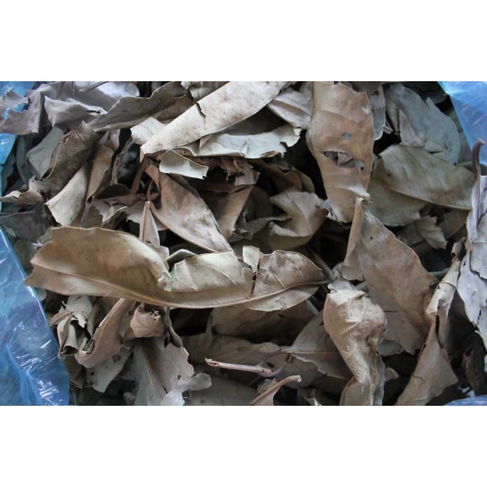Lá vối khô TAFOOD 100g