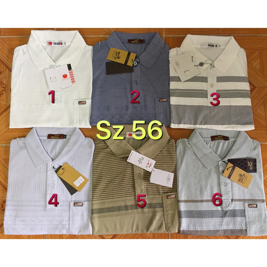 TỔNG HỢP ÁO THUN NAM TRUNG NIÊN HÀNG QUẢNG CHÂU CAO CẤP MS02 | BigBuy360 - bigbuy360.vn