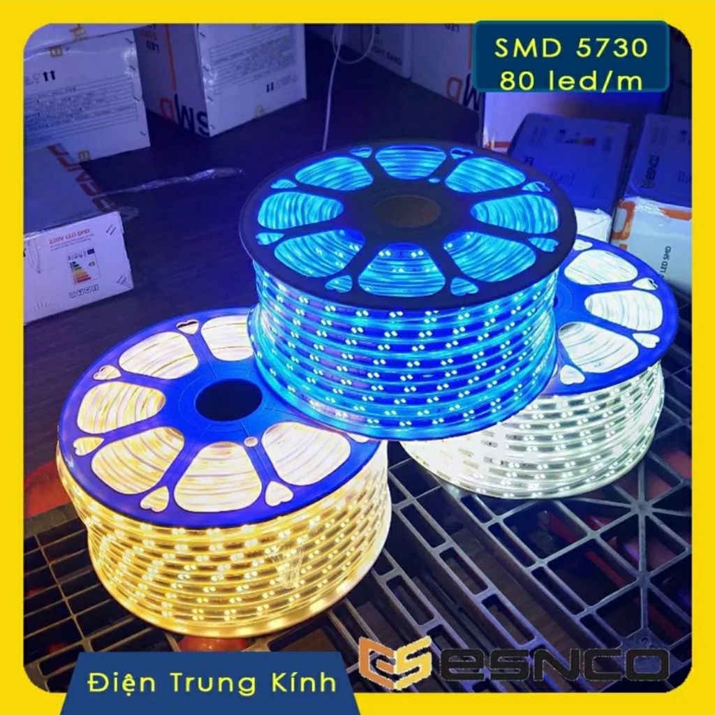 Đèn led dây 220V 2835 100m/cuộn siêu sáng thương hiệu ESNCO dùng trang trí ngoài trời  hắt ttrần thạch cao