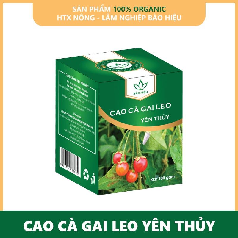 Giải độc gan, Giải rượu Cao Cà gai leo Yên Thủy 100g